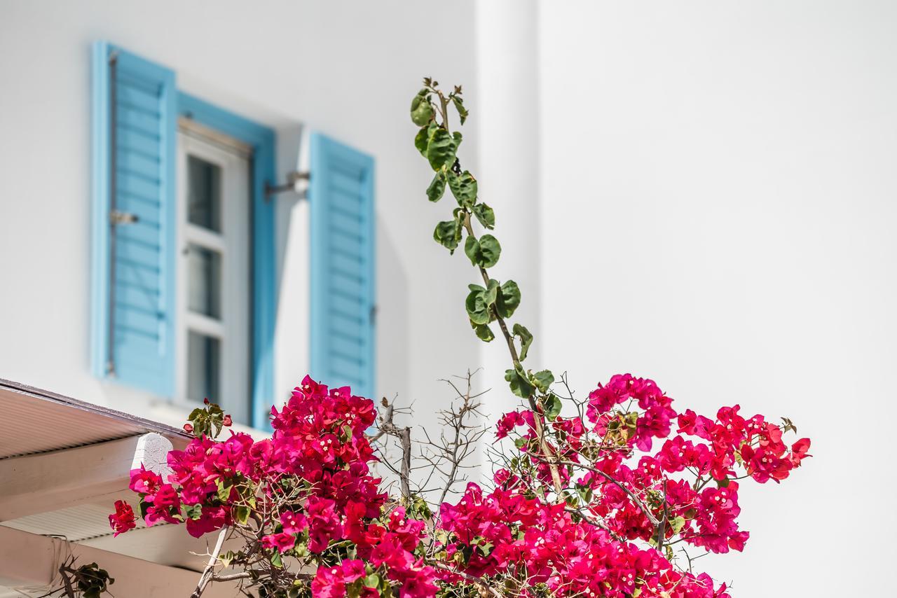 Capo Di Mykonos Resort Agios Ioannis Diakoftis Экстерьер фото