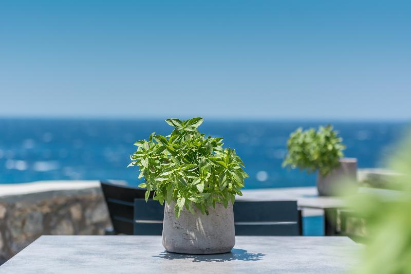 Capo Di Mykonos Resort Agios Ioannis Diakoftis Экстерьер фото